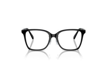Swarovski SK2026D 1001 Black 54mm
