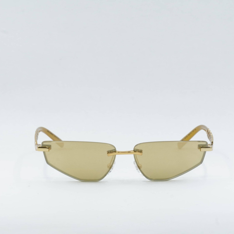 Dolce & Gabbana DG2301 Rectangle  Sunglasses