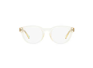 Polo Ralph Laurent PH2262 5034 Shiny Transparent Pinot Grey 50mm
