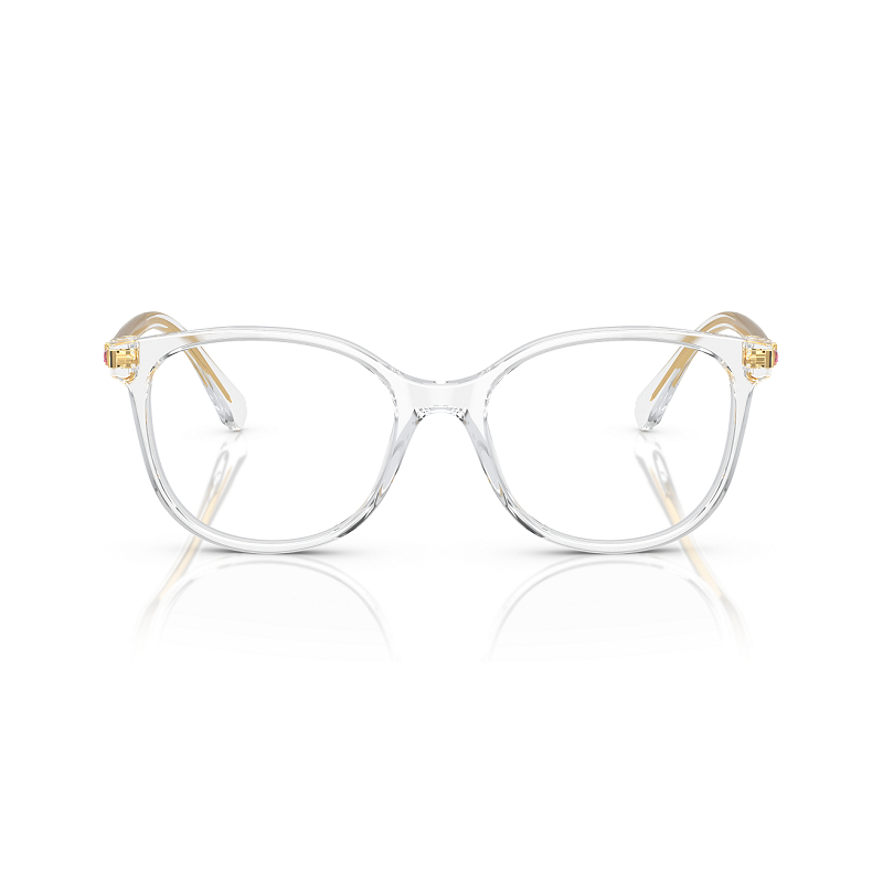 Swarovski SK2002 Square  Eyeglasses