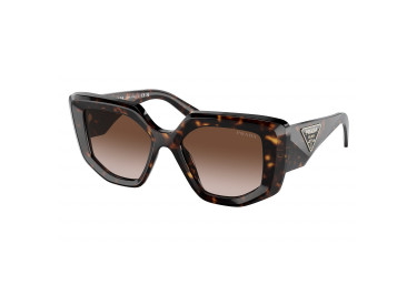 Prada PR14ZS 2AU6S1 Tortoise/Brown Gradient