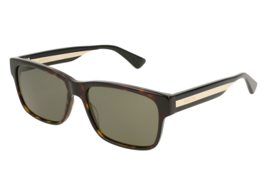 Gucci GG0340S 008 Havana//Green