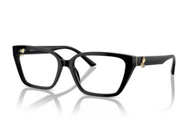 Jimmy Choo JC3008 5000 Black 55mm