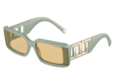 Tiffany & Co. TF4197 8365/8 Matte Sage Green