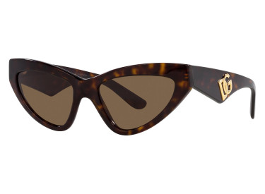 Dolce & Gabbana DG4439 502/73 Havana/Dark Brown