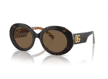 Dolce & Gabbana DG4448 321773 Havana On White Barrow/Dark Brown