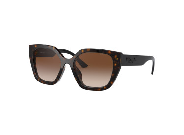 Prada PR24XS 2AU6S1 Havana/Brown Gradient