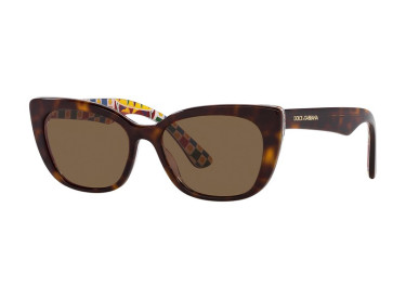 Dolce & Gabbana DX4427 321773 Havana On White Barrow/Dark Brown
