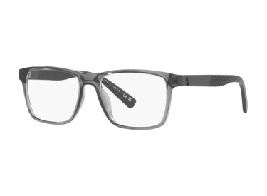 Polo Ralph Laurent PH2257U 5407 Shiny Transparent Grey 55mm