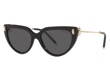 Tiffany & Co. TF4195F 8001S4 Black/Dark Grey