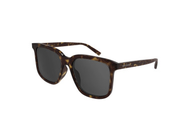 Saint Laurent SL480 002 Havana/Grey