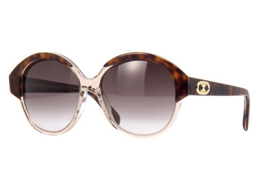Celine CL40154I 49F Havana and Light Brown Crystal/Brown Gradient