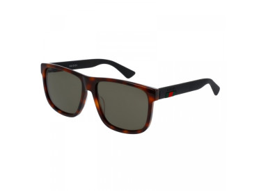 Gucci GG0010S 006 Dark Havana/Green