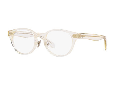 Polo Ralph Laurent PH2265D 5034 Shiny Transparent Pinot Grey 51mm
