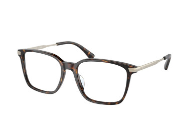 Polo Ralph Laurent PH2255U 5003 Shiny Dark Havana 55mm