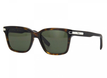 Salvatore Ferragamo SF917S 214 Tortoise/Green