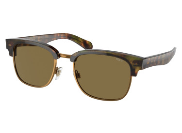Polo Ralph Laurent PH4202 501773 Shiny Beige Tortoise/Green