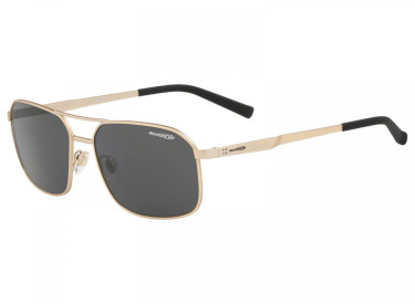 Arnette AN3079 713/87 Gold/Grey
