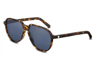 Dior DIORESSENTIAL AI 24B0 Brown Tortoise/Blue
