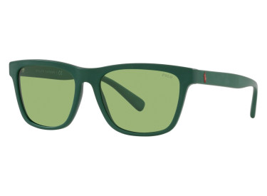 Polo Ralph Laurent PH4167 5421/2 Matte Forest Green/Dark Green